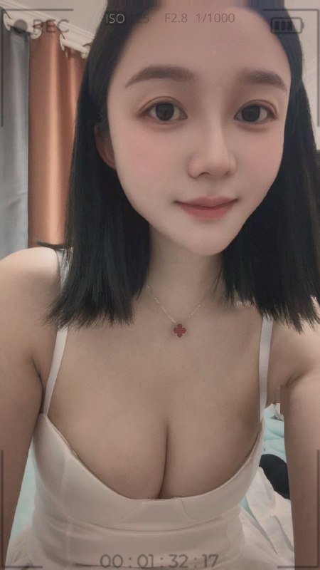狐狸