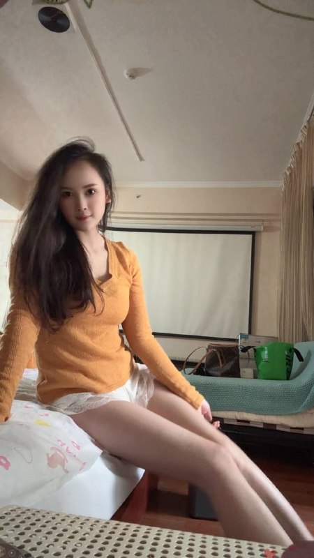 皮皮